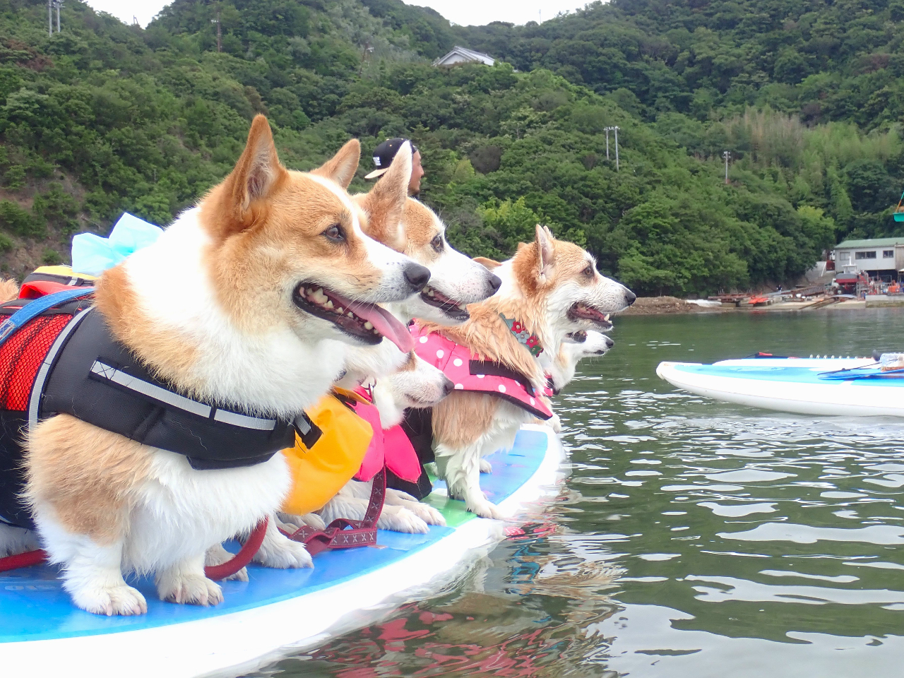 �݂�Ȉꏏ�ɁI�I