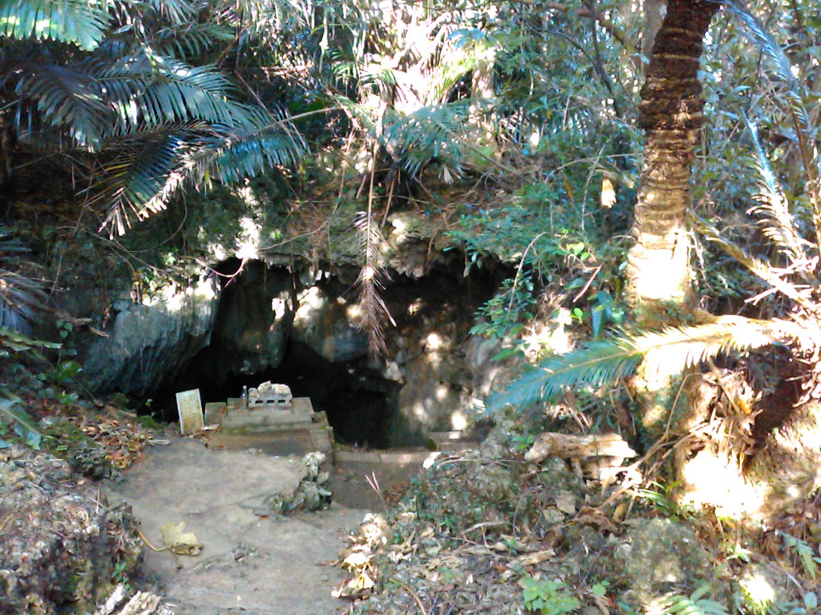 p[X|bgł͐ÂɁI@̓I[o[c[Yh~ׁ̈ASNSgU肢܂