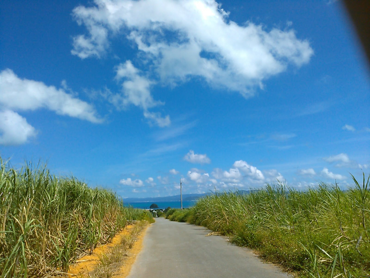 �T�g�E�L�r���Ɛ��C