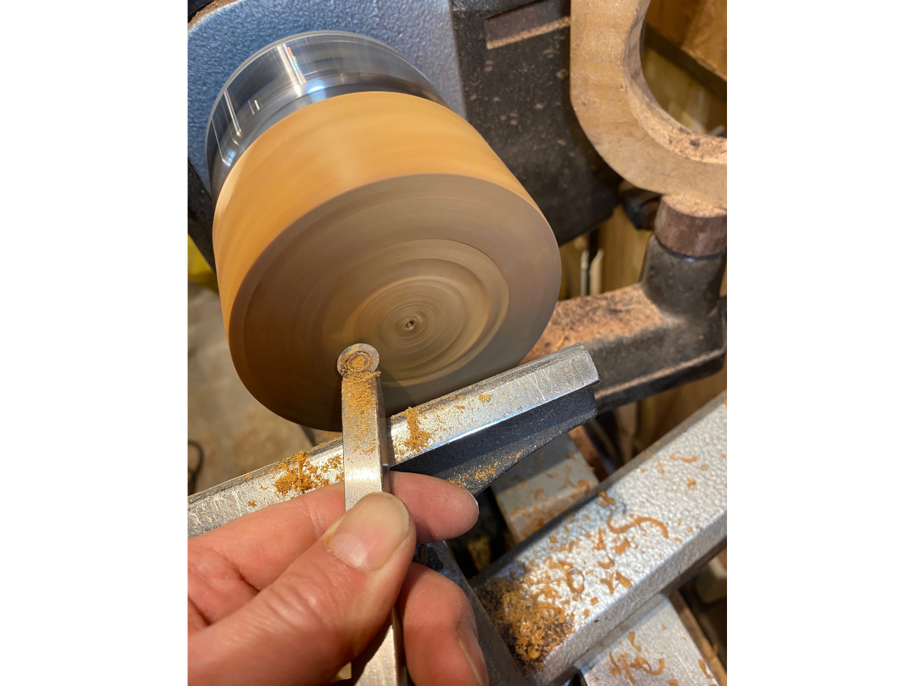 �y��͖؍H���Ղ��g���A���C�̖؂��炨�D���Ȍ`�ɐ��삵�Ē����܂��B�E�l�ɂ��}���c�[�}���w���ɂ����S�ɂǂȂ��ł��y���߂܂��B������񏉂߂Ă̕����劽�}�ł��B