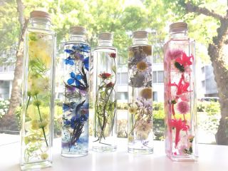 ハーバリウムの制作例