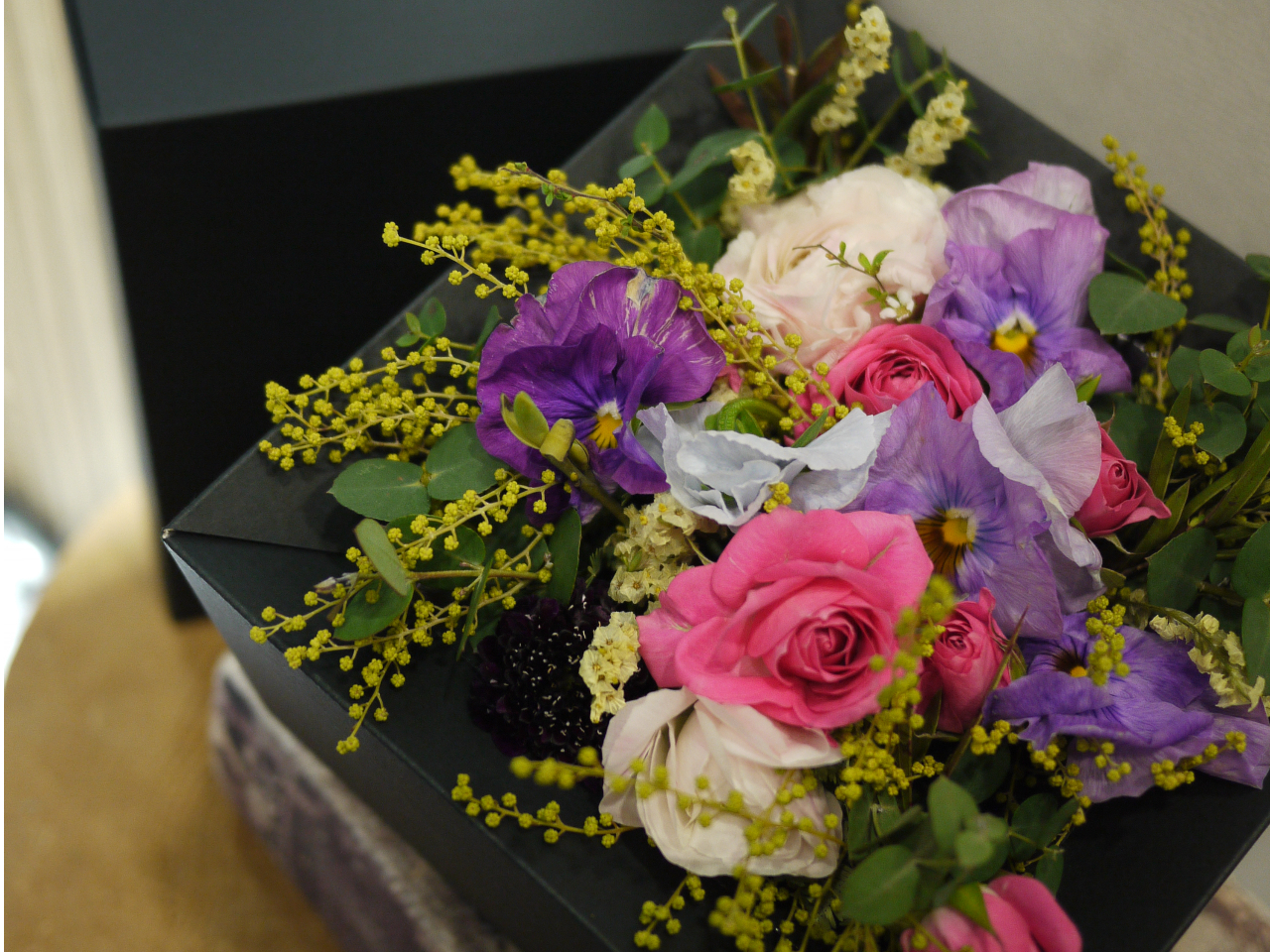 Ԃ߂{bNXt[̑̌͂ł