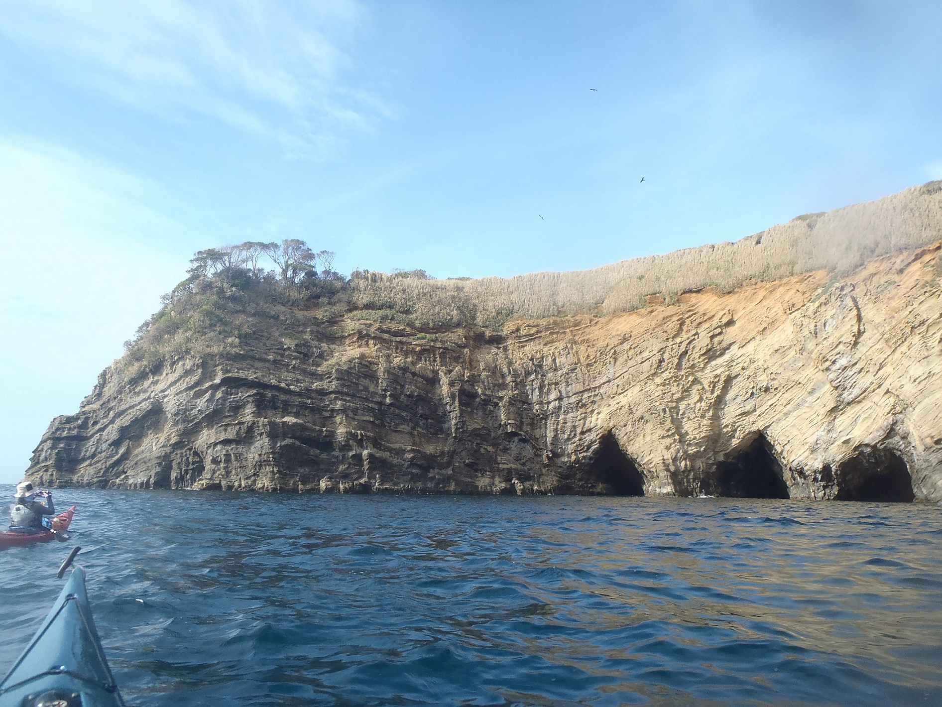 運がよければ無人島の浮島も近くにいけるかも!