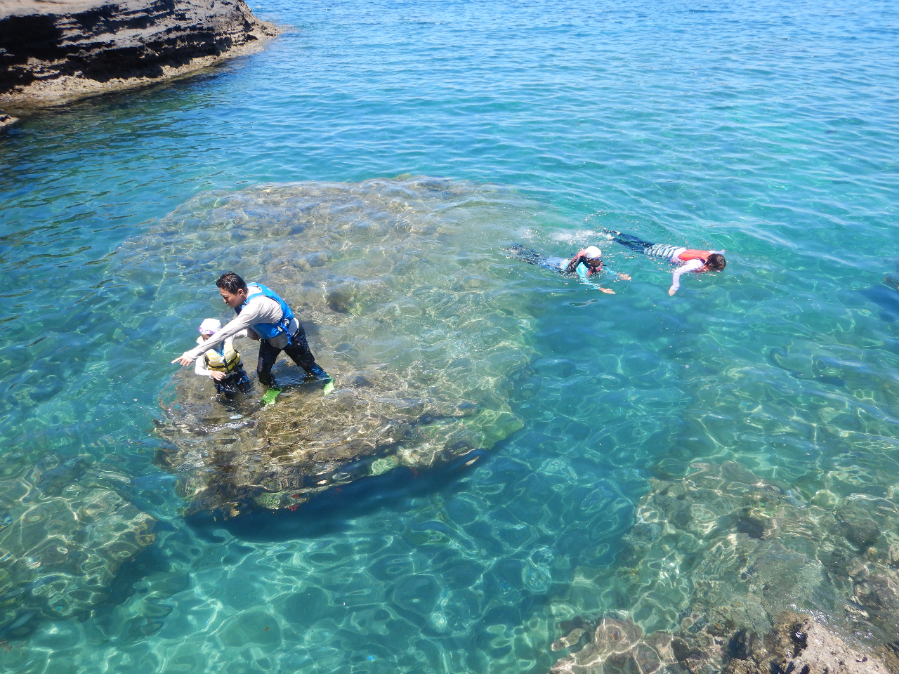 暑い日は泳ぎましょう!水は冷たくて気持ち良いですー!