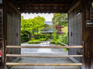 1日限定名 京都 東福寺塔頭 天得院 通常非公開の 桔梗の寺 で過ごす初夏の特別拝観 精進料理のランチプラン 21 6 26 7 11限定 京湯元 ハトヤ瑞鳳閣 栄寿庵 じゃらん遊び体験 1日限定名 京都 東福寺塔頭 天得院 通常非公開の 桔梗の寺 で過ごす初夏の特別拝観 精進料理のランチプラン 21 6 26 7 11限定 京湯元 ハトヤ瑞鳳閣 栄寿庵 じゃらん遊び体験
