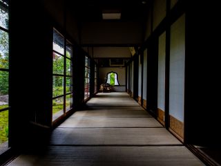 1日限定名 京都 東福寺塔頭 天得院 通常非公開の 桔梗の寺 で過ごす初夏の特別拝観 精進料理のランチプラン 21 6 26 7 11限定 京湯元 ハトヤ瑞鳳閣 栄寿庵 じゃらん遊び体験 1日限定名 京都 東福寺塔頭 天得院 通常非公開の 桔梗の寺 で過ごす初夏の特別拝観 精進料理のランチプラン 21 6 26 7 11限定 京湯元 ハトヤ瑞鳳閣 栄寿庵 じゃらん遊び体験