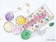 体験