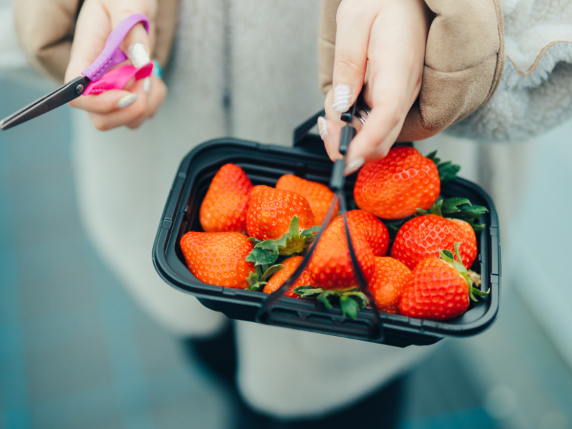 いちごのお持ち帰りもできますよ^^ ※生育状況により中止させていただく場合もございます。ご了承ください