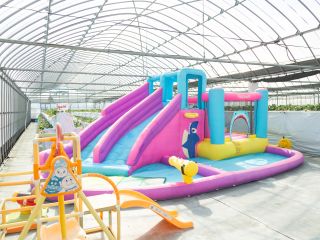 ハウス内にある遊び場では毎年遊具が入れ替わり、いちご狩りのお客様が時間中無料でご利用いただけます。