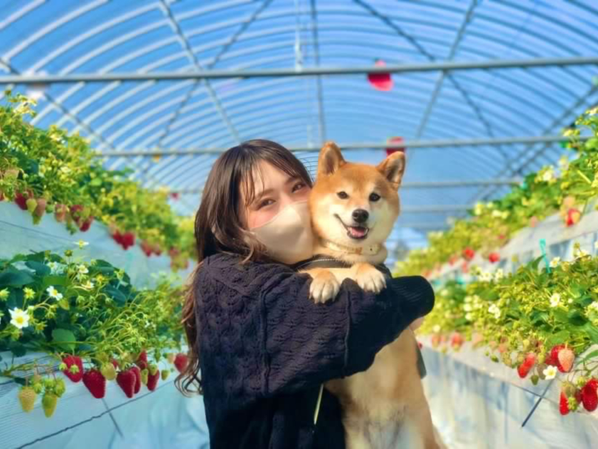 みんなで楽しんじゃお♪