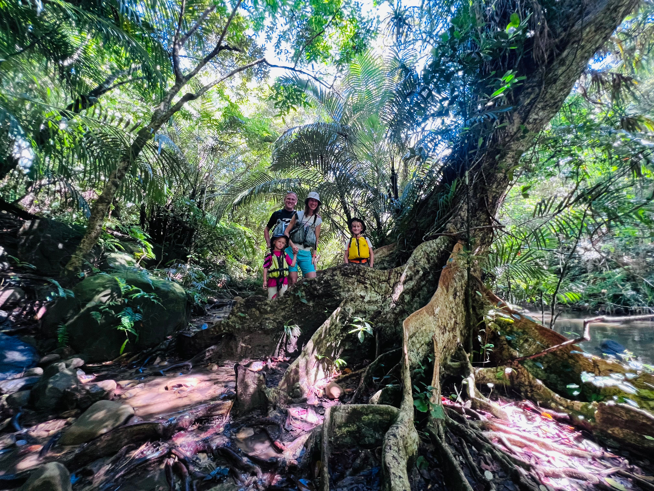 未使用　マウンテンリサーチ　フィギュア　カヌー 天真爛漫4歳児に癒されまくり！西表島 ピナイサーラの滝 半日カヌー