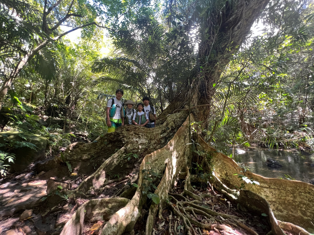 TLV}XIE̖؂Ă݂悤II