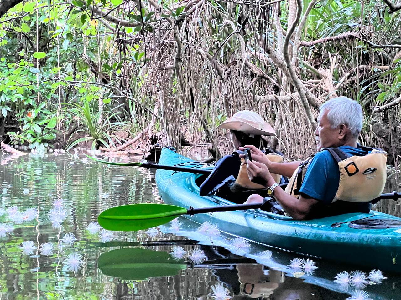 ɖ邭ȂƉԂɗn߁ACtΎ͉Ԉʂ̎II