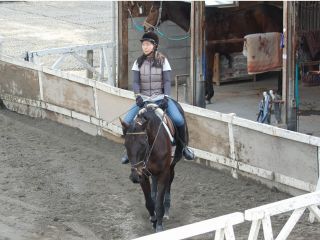 東京 八王子 初めての乗馬体験プラン 自分で大きなサラブレッドを動かす感動を味わってみませんか 13 30 14 15 八王子乗馬倶楽部 じゃらん遊び体験 東京 八王子 初めての乗馬体験プラン 自分で大きなサラブレッドを動かす感動を味わってみませんか 13 30 14 15 八王子乗馬倶楽部 じゃらん遊び体験