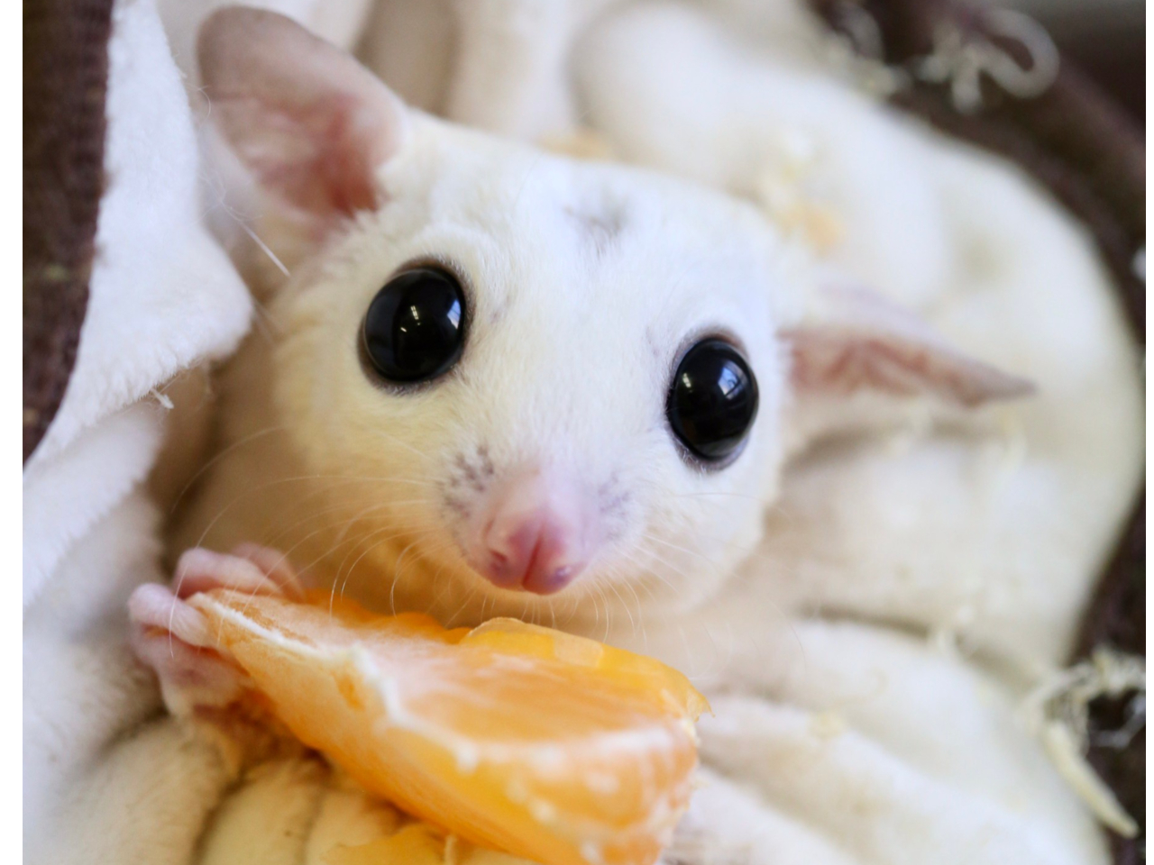 ঒��ވȊO�̓�������B�Ƃ��G�ꍇ���܂���