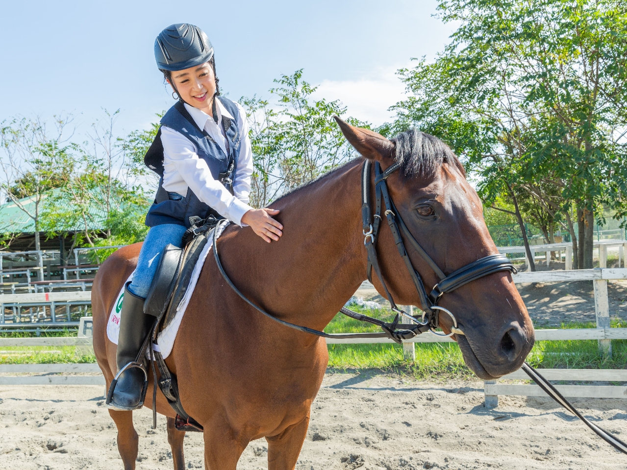 【千葉県・東京都にお住いの方限定!】特別価格!★マンツーマンで乗馬の素晴らしさを...