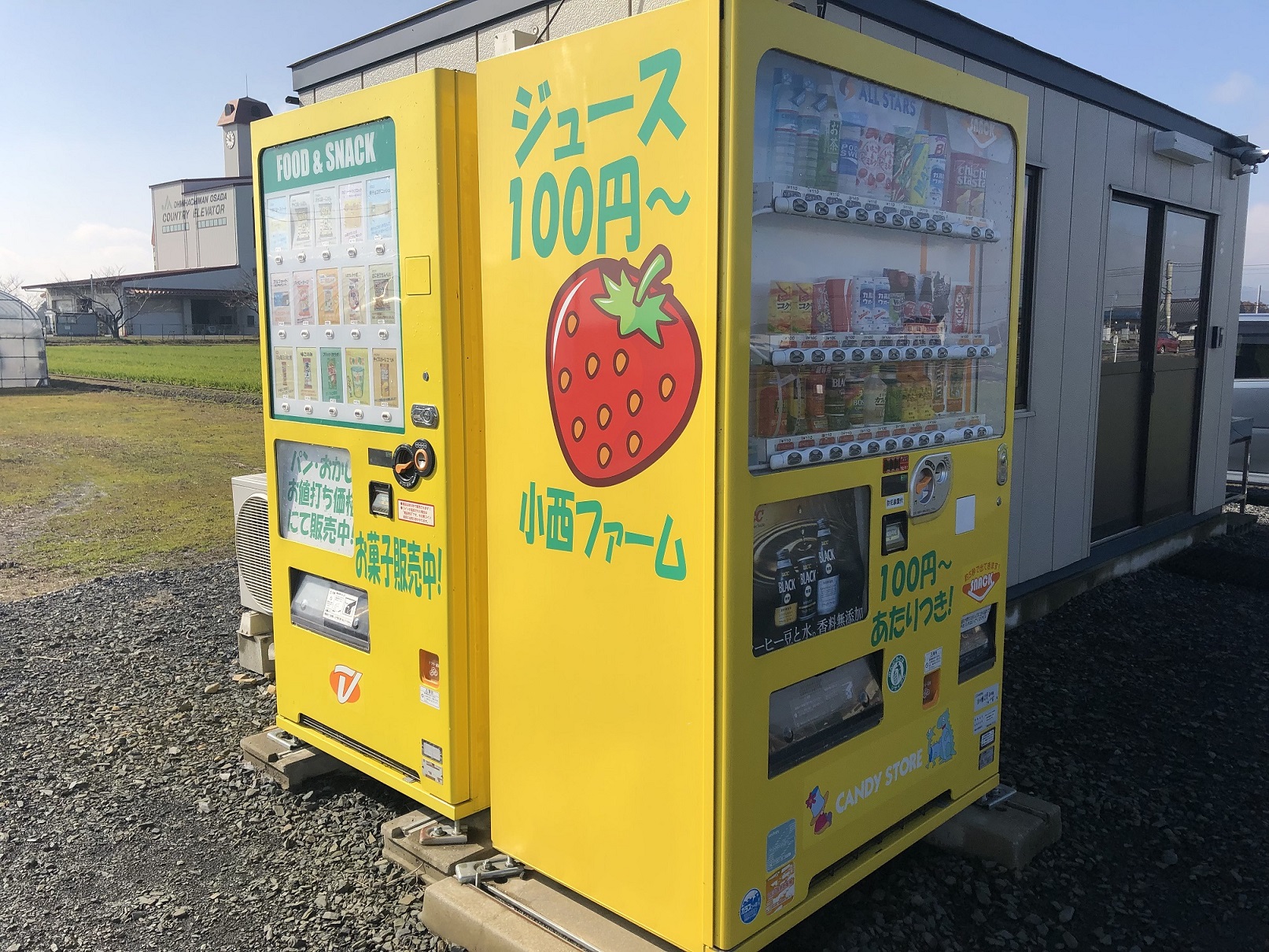 目立っているので見つけやすいです!