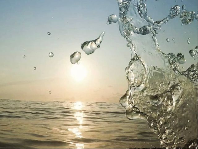 海の上でしか感じることのできない、音や空気、世界観。体感してみませんか?