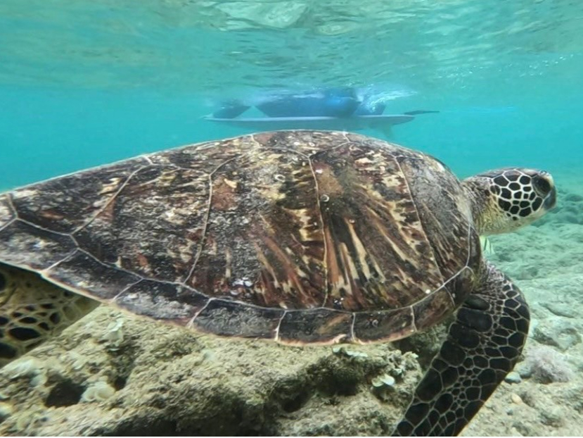 N[WOrɊCT񂪂ЂoĂ邩HI