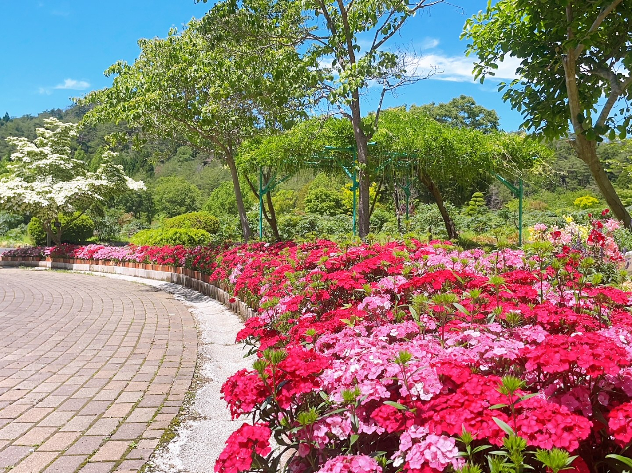 23年春開催予定 花と泉の公園を満喫 ぼたん園入館チケット カップル ファミリー 女子旅にオススメ 花と泉の公園 じゃらん遊び体験