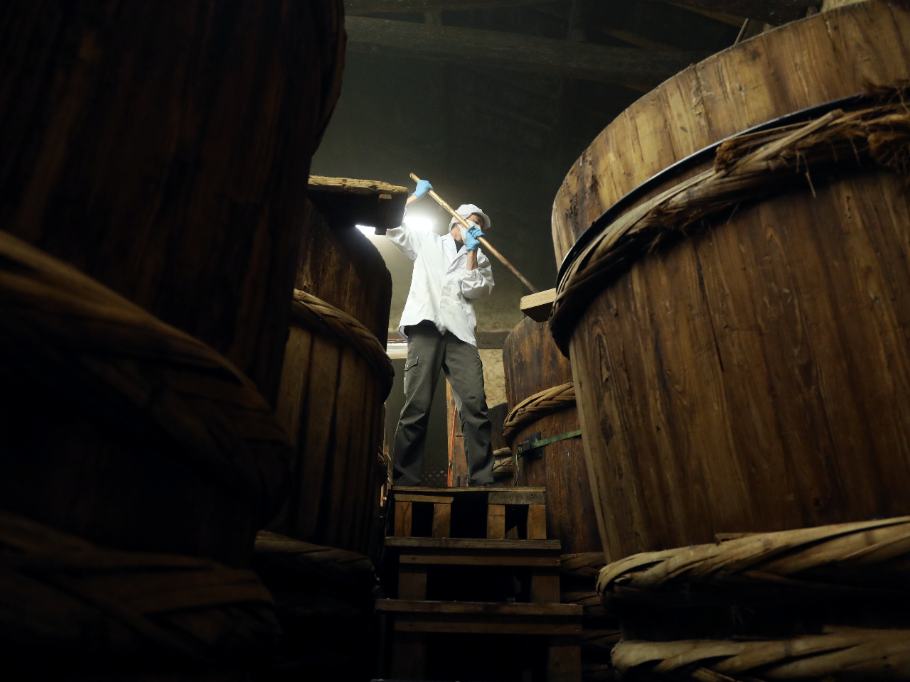 ɂ́A16{̉łāASẲŏݖnłB