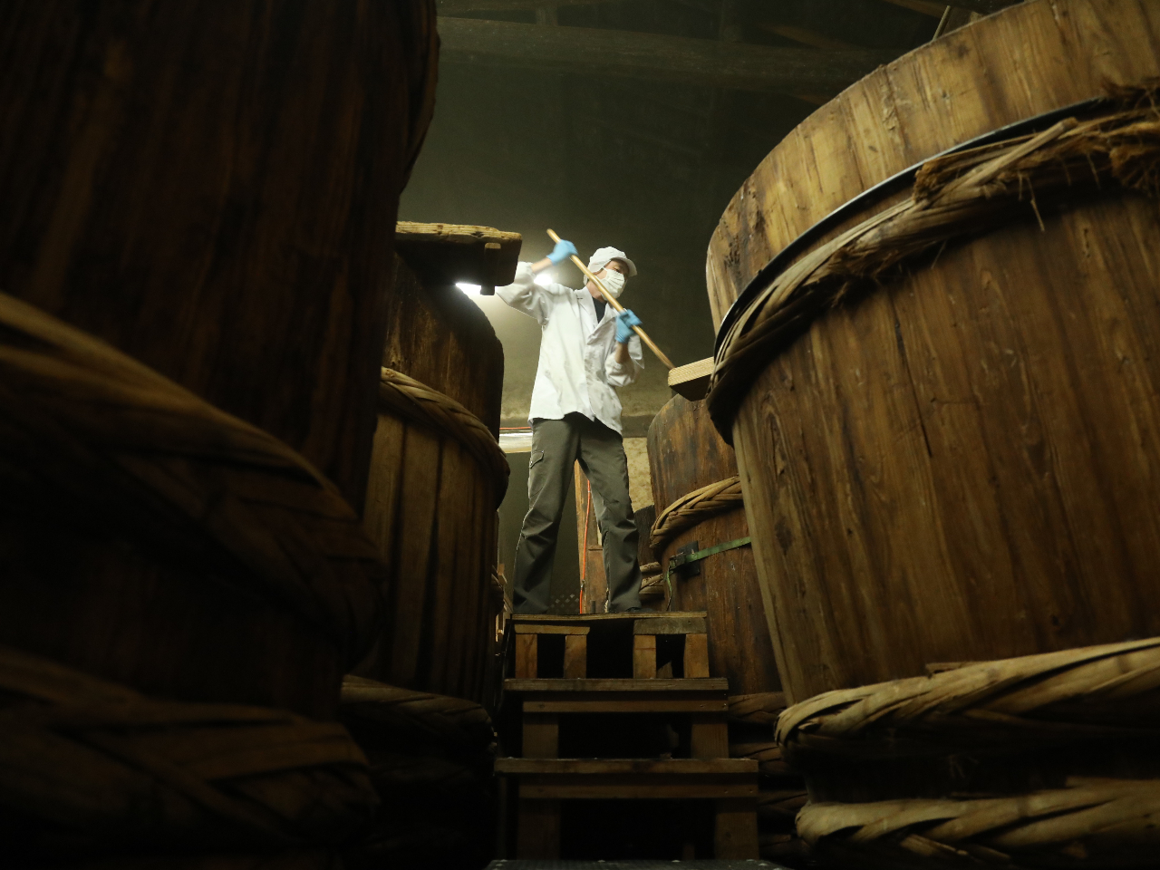 �������ɂ́A16�{�̉�������ł��āA�S�Ẳ��ŏݖ����n�����ł��B