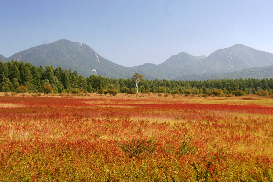 奥日光プライベートツアー 小田代原 戦場ヶ原贅沢ツアー 半日 日光おでかけサロン じゃらん遊び体験