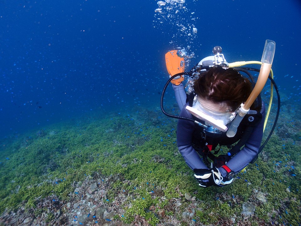 【日帰りで楽しめる】千葉房総の海でダイビング