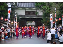 郷土芸能「泰平踊」は、おもに飫肥(おび)城下まつりで踊られて観ることができます