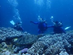 慣れてきたら2Diveめはちょっと本格