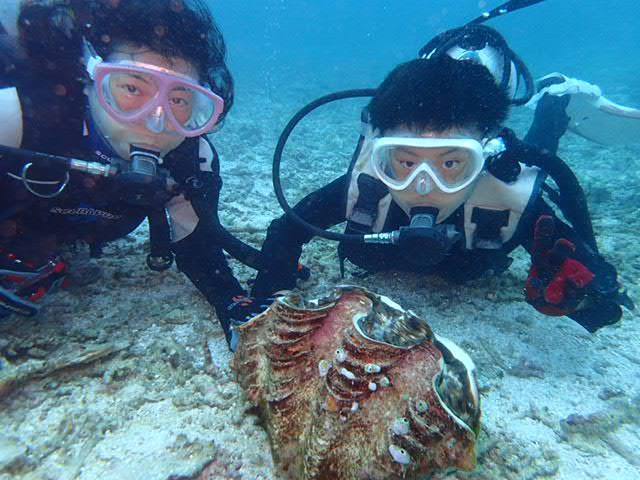 巨大なシャコガイも 男の子お子さんに大人気