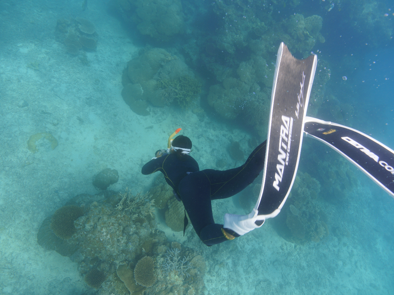 {iIȃXL_CrOEt[_Co[Q܂B