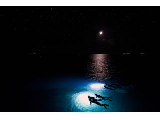 満点の星空の中海にエントリー