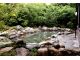 露天「もりの湯」:まるで森の中で入浴しているかのようです!