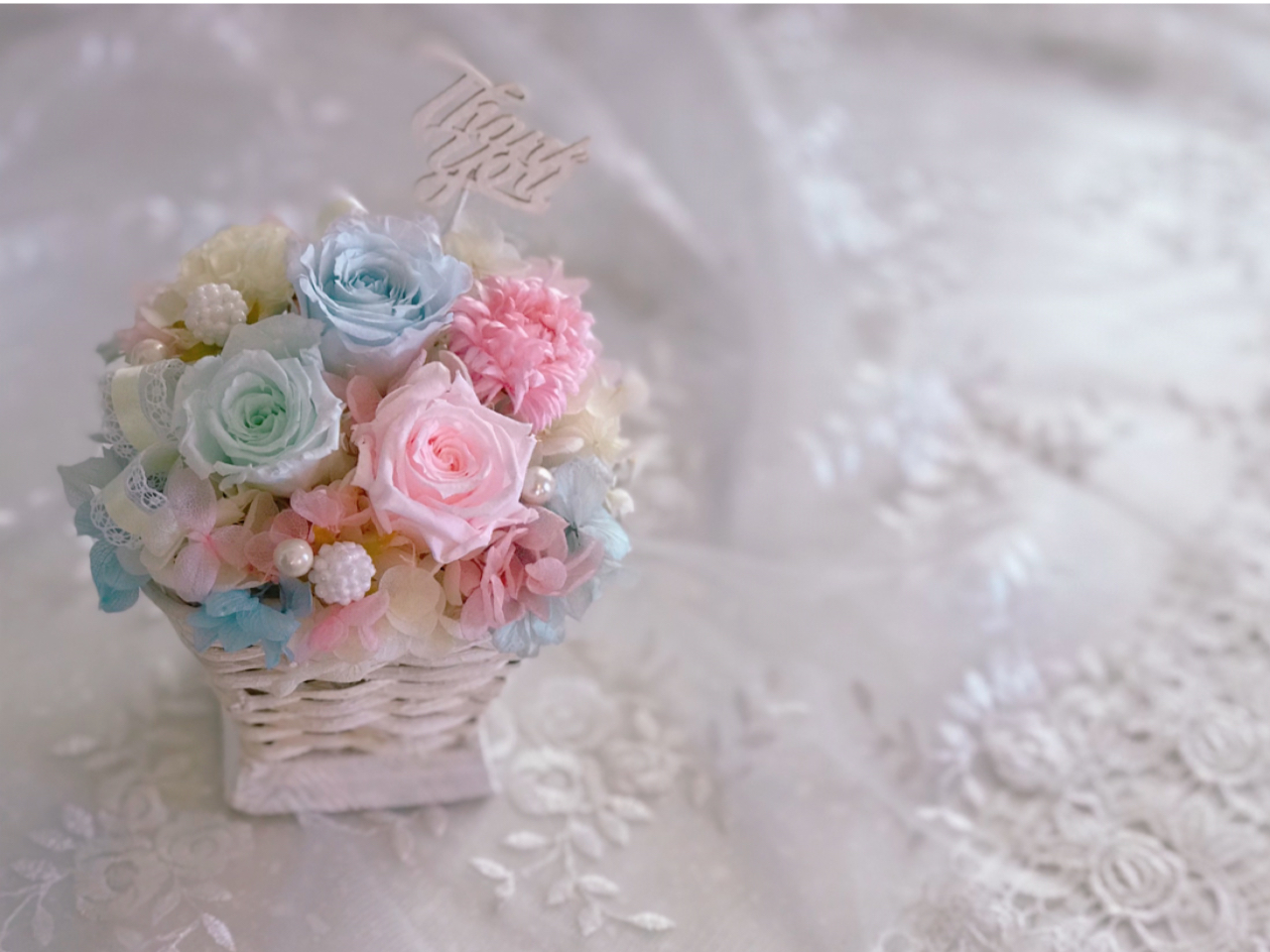 体験レッスン 3,300円