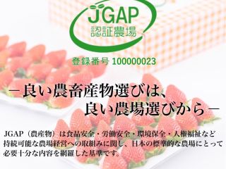 いちご農家では数少ないJGAP認証農場です。