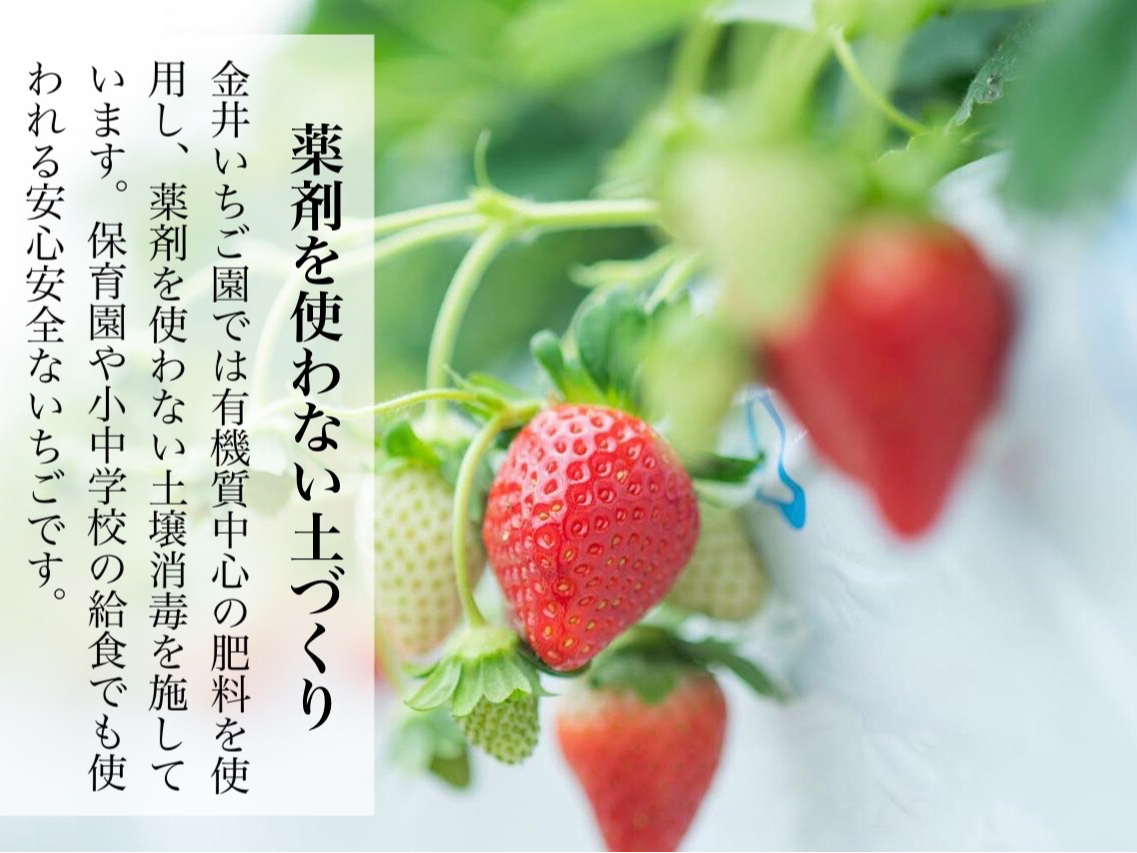 �����Ȃ��q�l�ɂ����S���Ă������オ�肢�������܂�