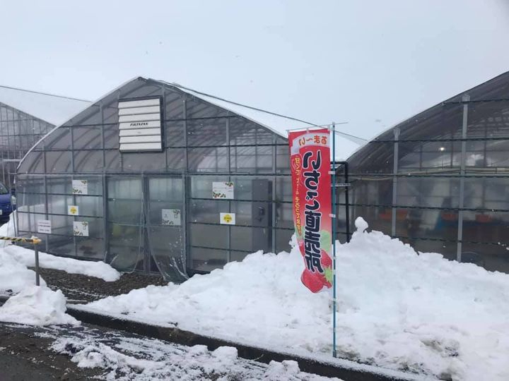 _łBrj[nEX͉Jłły݂܂B