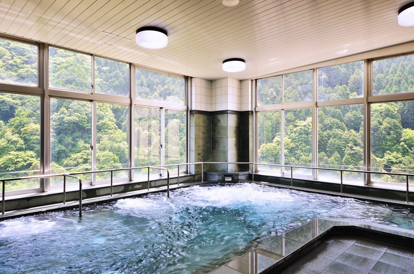 【大歩危×日帰り温泉】大自然の絶景を見ながら♪女性の方必見!化粧いらずの美肌温泉...