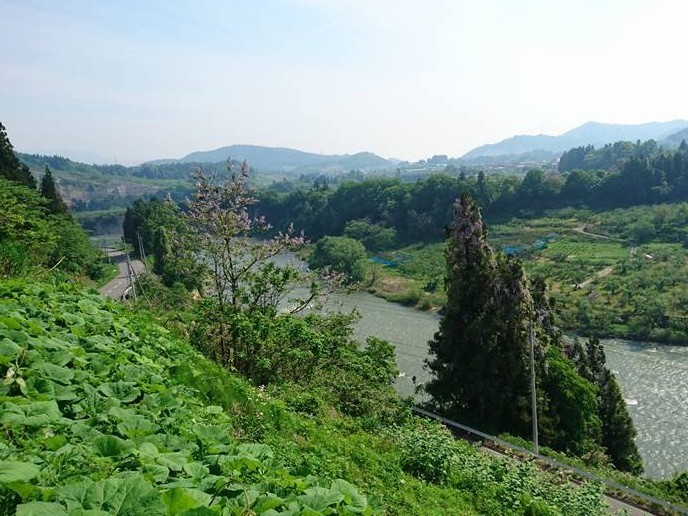 【山形の春の味覚を堪能★】 山菜摘み取り+山菜お料理体験プラン