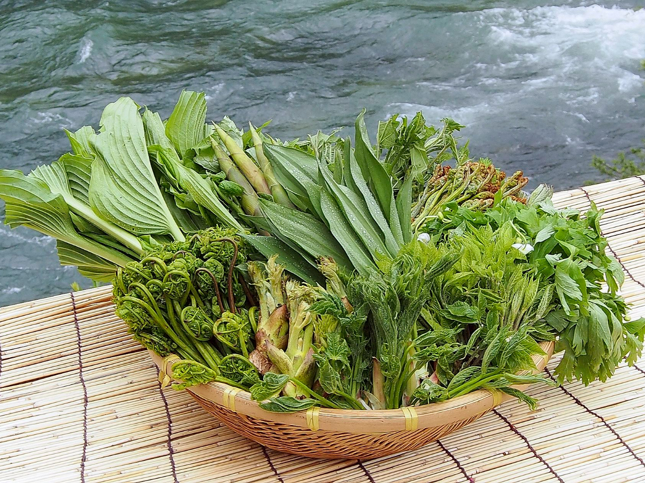 心ほどける山菜狩りと温泉・美食