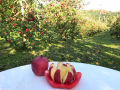 北海道の果物 野菜狩りランキングtop10 じゃらんnet 北海道の果物 野菜狩りランキングtop10 じゃらんnet