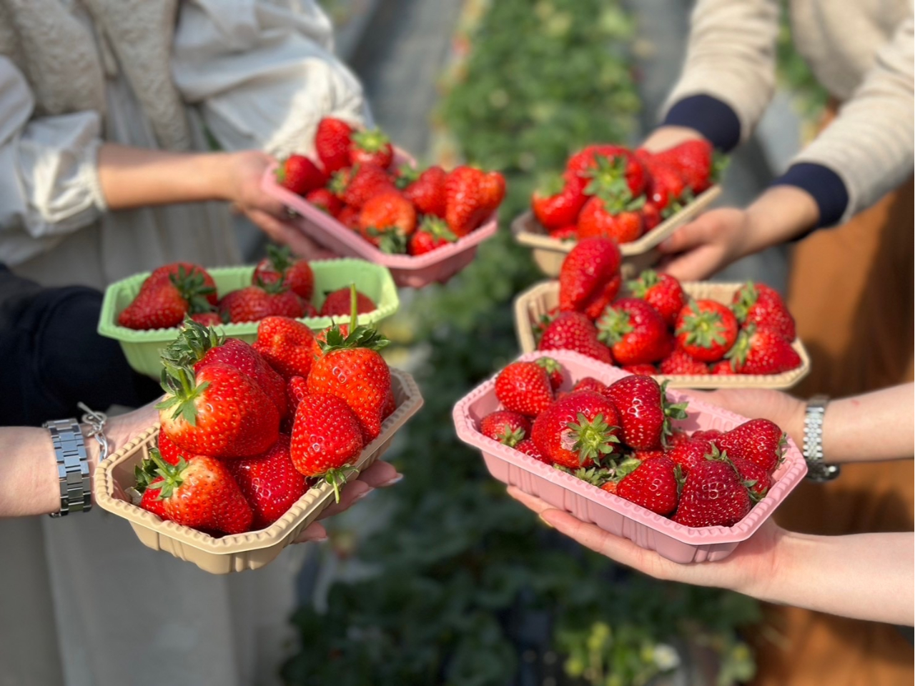 ʓƁAW[ƂՂ̉ʏ`̂ȂɂӂĂāAƂƂɊÂ䂽ɍL܂