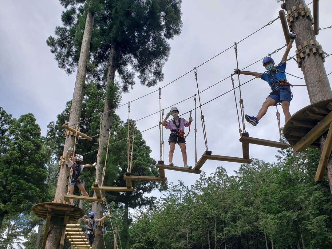 󒆃AX`bNwWild Forest OneiChtHXgjxAANereB[I