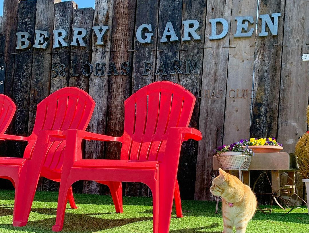 L`RBC`SɗĂql̂o}Ă܂BӂƌĊFɂABЉɗĂˁB