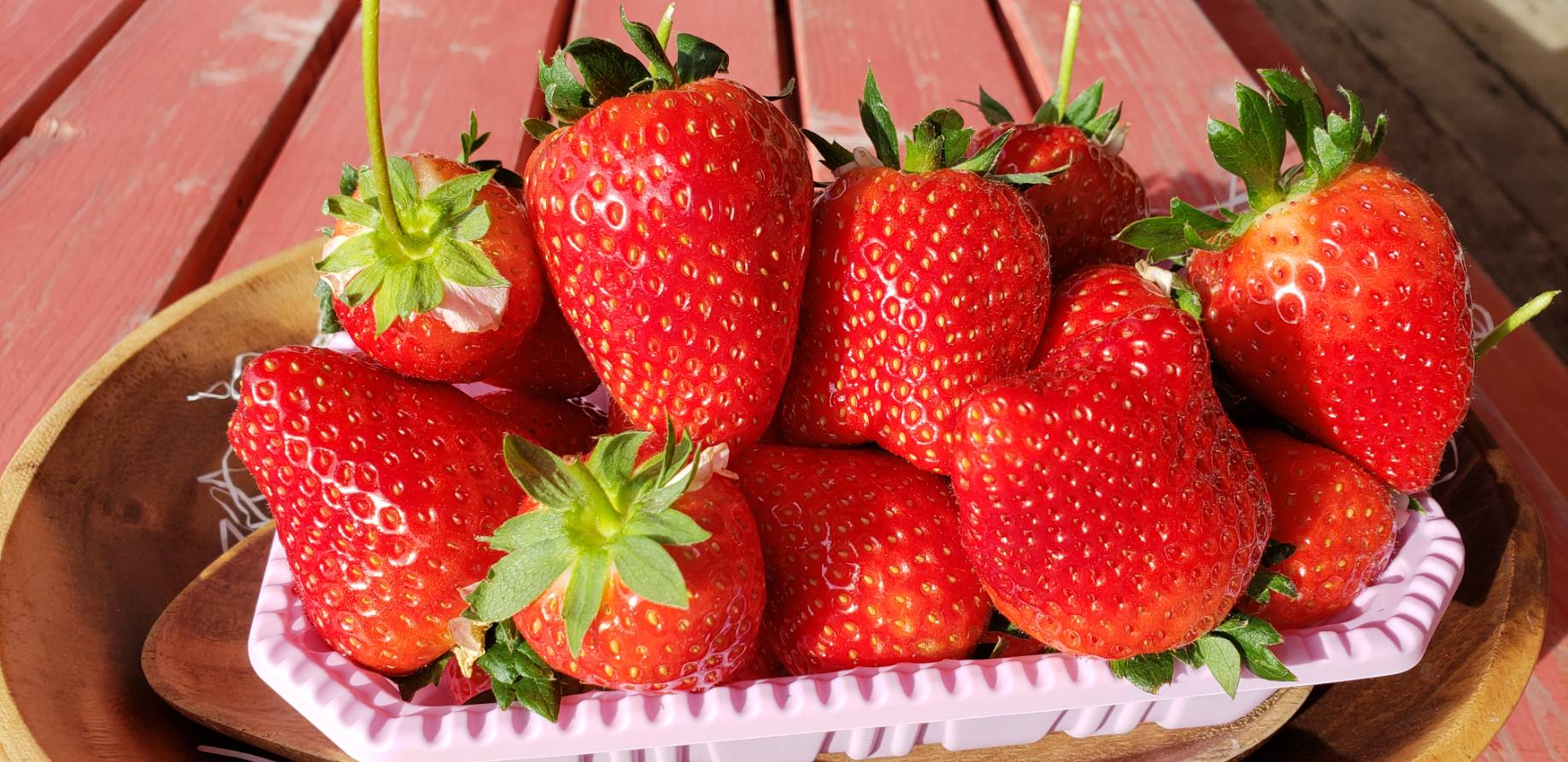 �E�ݎ������́A���������O�̃x���`�ŐH�ׂ邱�Ƃ��o���܂��I