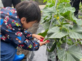 都会では体験出来ない思い出に!