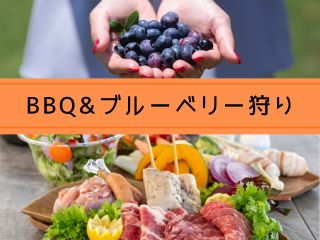 バーベキューガーデンでのBBQとブルーベリー狩りのお得なセットプラン!BBQガーデンはドックラン付!