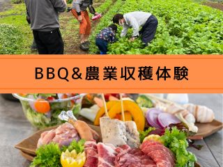 バーベキューガーデンでのBBQと農業収穫体験のお得なセットプラン!BBQガーデンはドックラン付!