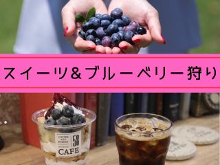 58カフェでのスイーツセットとブルーベリー狩りのお得なセットプラン!ブルーベリー狩りの後は涼しい店内でのんびりカフェタイム